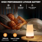 LED Touch Bedside Lamp with Remote & RGB Colors