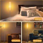 Modern 165CM Floor Lamp with 3 Color Temperatures
