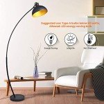 Osasy Vintage Arc Floor Lamp in Black-Gold