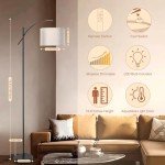 FIMEI 73.8'' Dimmable Arc Floor Lamp with Remote