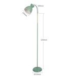 Green Adjustable Floor Lamp for Living Room