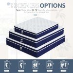 King Size Medium Firm Innerspring Mattress - 12 Inch