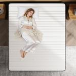 MOLPHIT 10-Inch Double Innerspring Hybrid Mattress