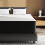 MOLPHIT 10-Inch Double Innerspring Hybrid Mattress