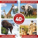 Abacus Brands Virtual Reality Animals! Gift Box - Illustrated Interactive VR Book and STEM Learning Activity Set - for Ages 8 and Up