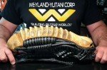 H.R Giger 14 inch alien head, display prop, resin replica hex3d