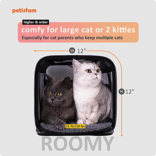 Soft Top Load Carrier for Large and Medium Cats