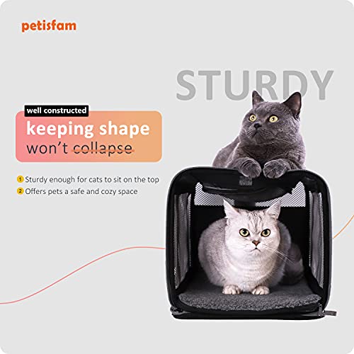 Soft Top Load Carrier for Large and Medium Cats