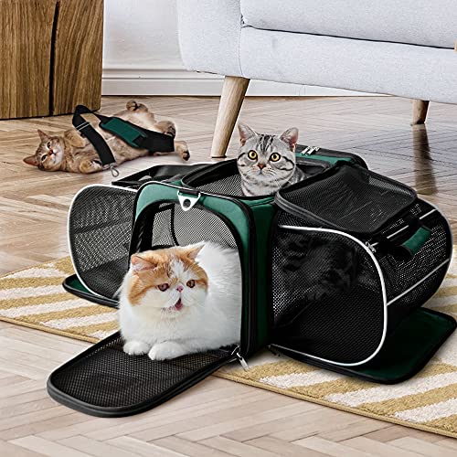 AutumnStory Expandable Cat Carrier - Green
