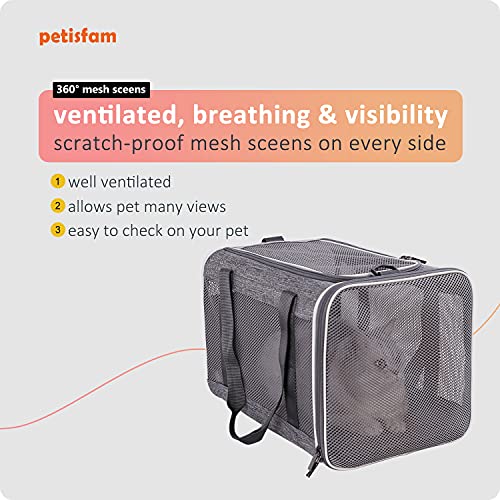 Soft Top Load Carrier for Large and Medium Cats