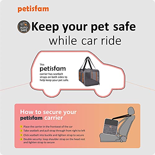 Soft Top Load Carrier for Large and Medium Cats