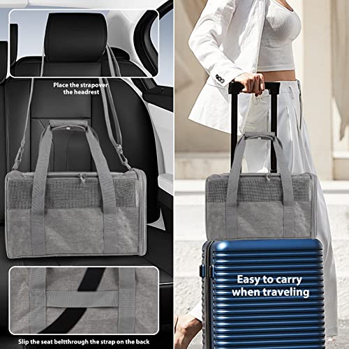 Soft Sided Cat Carrier Bag, Airline Approved (Medium)