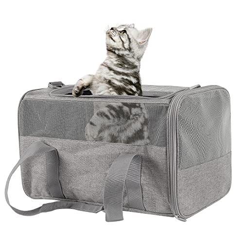 Soft Sided Cat Carrier Bag, Airline Approved (Medium)