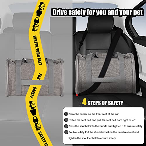 Portable and Breathable Cat Carrier for Travel