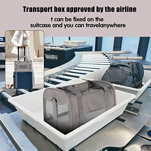 Portable and Breathable Cat Carrier for Travel