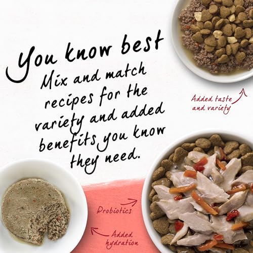 Natural Salmon Cat Food - 3lbs