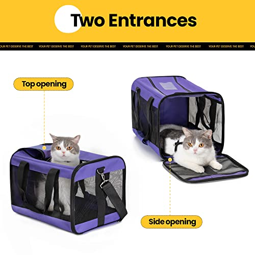 Conlun Airline Approved Cat Carrier - Purple