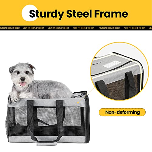 Conlun Airline Approved Cat Carrier - Purple