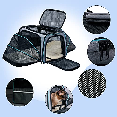 Expandable Soft-Sided Cat Carrier for Airline Travel