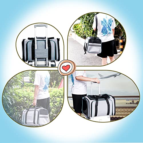 Expandable Soft-Sided Cat Carrier for Airline Travel
