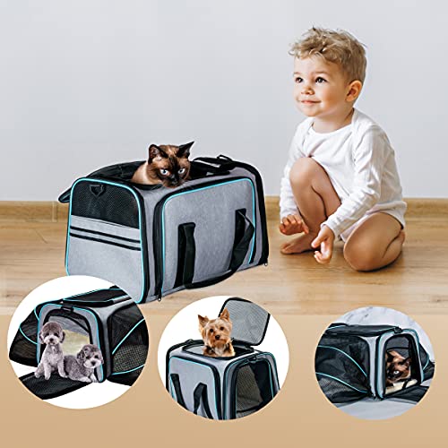 Expandable Soft-Sided Cat Carrier for Airline Travel