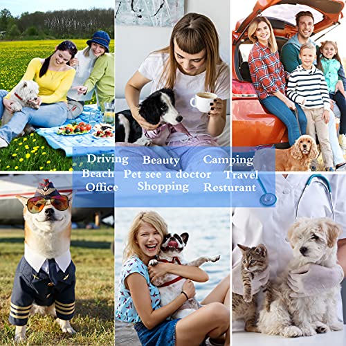 Expandable Soft-Sided Cat Carrier for Airline Travel