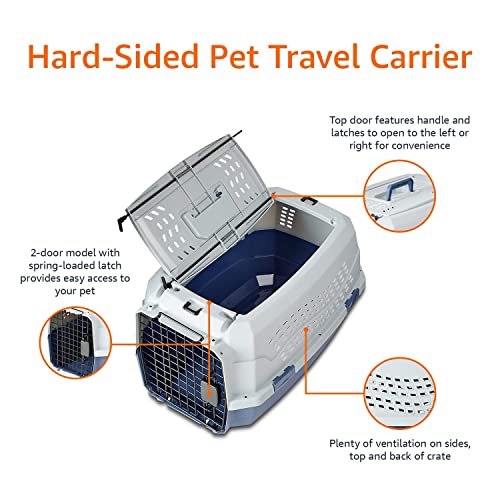 Cats' Pro Travel Carrier - Gray & Blue