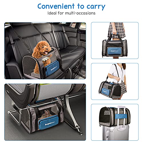 BurgeonNest Large Cat Carrier with Side Bag