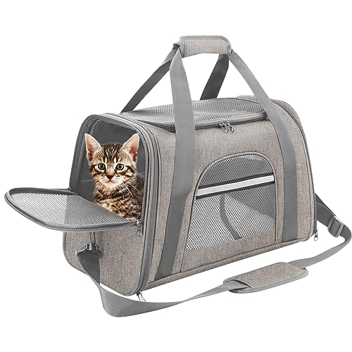 Pet Carrier for Air Travel - Small Dogs and Cats