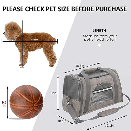 Pet Carrier for Air Travel - Small Dogs and Cats