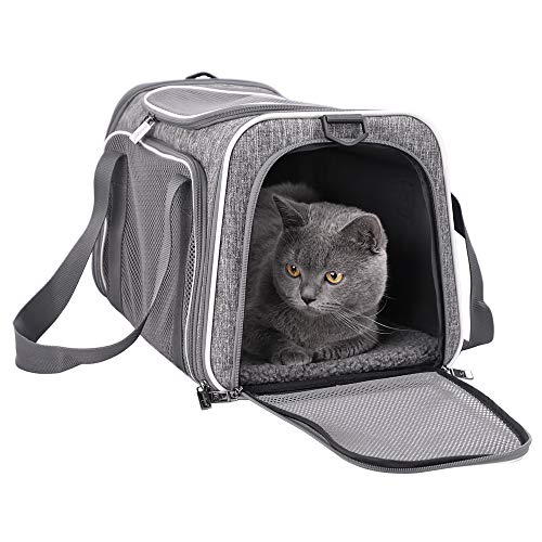 petisfam Cat Carrier: Easy & Stress-Free Vet Visits