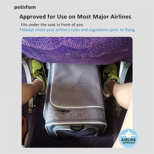 petisfam Cat Carrier: Easy & Stress-Free Vet Visits