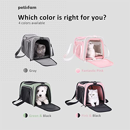 petisfam Cat Carrier: Easy & Stress-Free Vet Visits