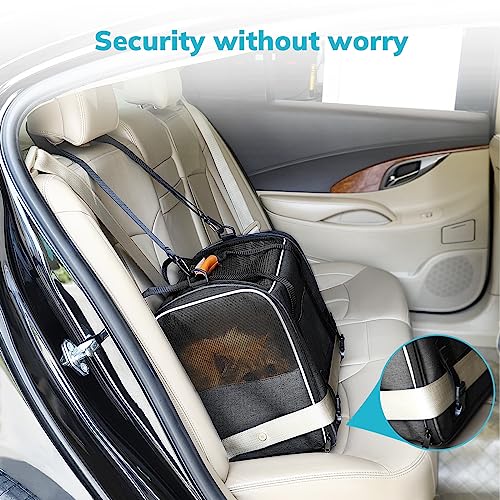 Morpilot Pet Carrier Bag: Portable, Foldable, Airline Approved
