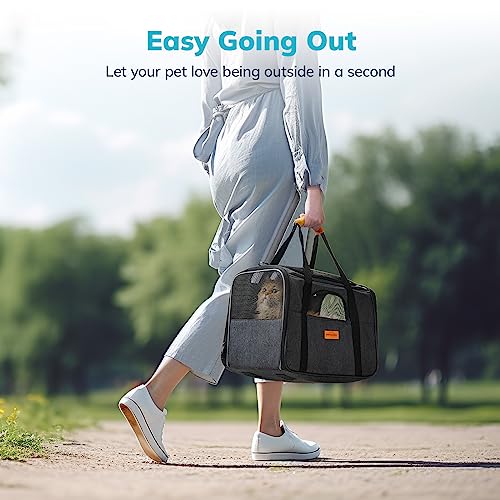 Morpilot Pet Carrier Bag: Portable, Foldable, Airline Approved