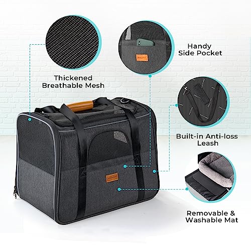 Morpilot Pet Carrier Bag: Portable, Foldable, Airline Approved
