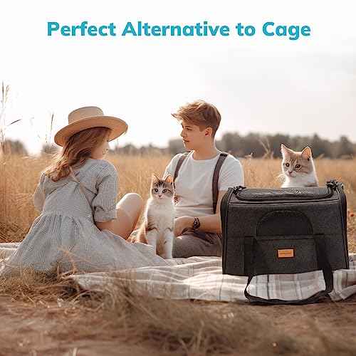 Morpilot Pet Carrier Bag: Portable, Foldable, Airline Approved