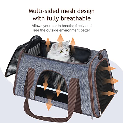 Soft Cat Carrier with Top Mesh Window - Blue