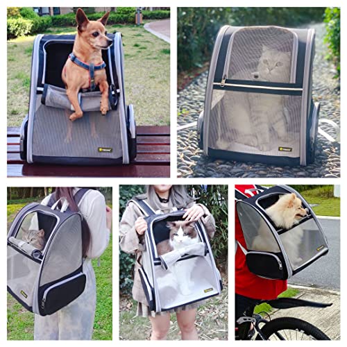 Texsens Traveler Bubble Backpack for Cats and Dogs (Black)