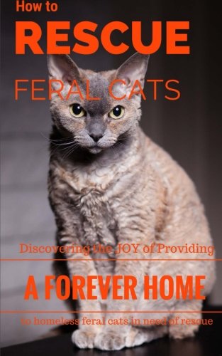 Finding Forever Homes for Feral Cats