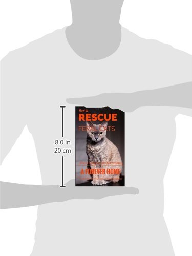 Finding Forever Homes for Feral Cats