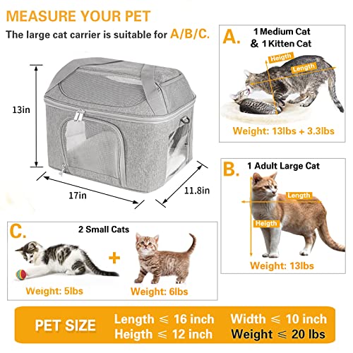 Large Cat Carrier for 2 Cats - Gray