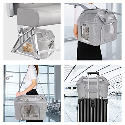 Large Cat Carrier for 2 Cats - Gray