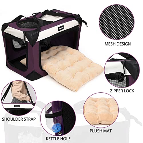 Large Soft-Sided Cat Carrier with Super Soft Pillow