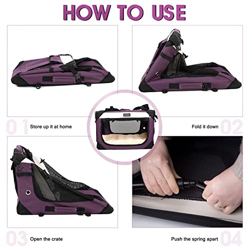 Large Soft-Sided Cat Carrier with Super Soft Pillow