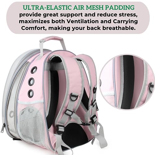 Lollimeow Bubble Pet Carrier Backpack - Pink, Airline-Approved