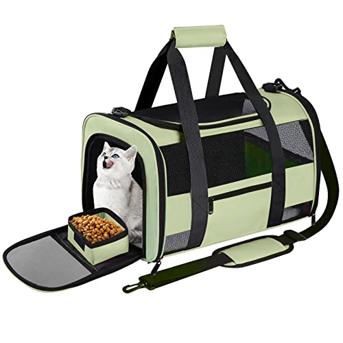 Airline Approved Pet Carrier for Small Cats - Green