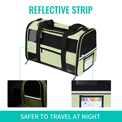 Airline Approved Pet Carrier for Small Cats - Green