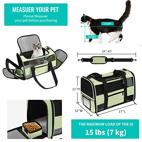 Airline Approved Pet Carrier for Small Cats - Green
