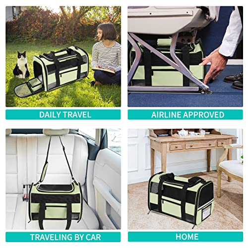 Airline Approved Pet Carrier for Small Cats - Green